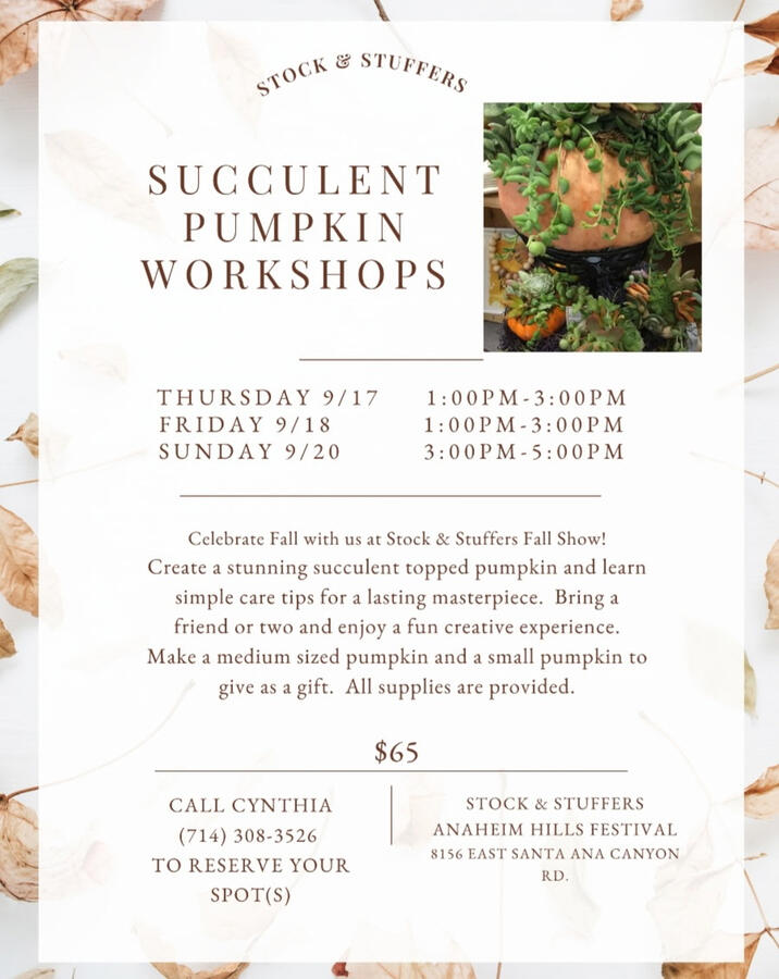 Succulent Pumpkin Workshops