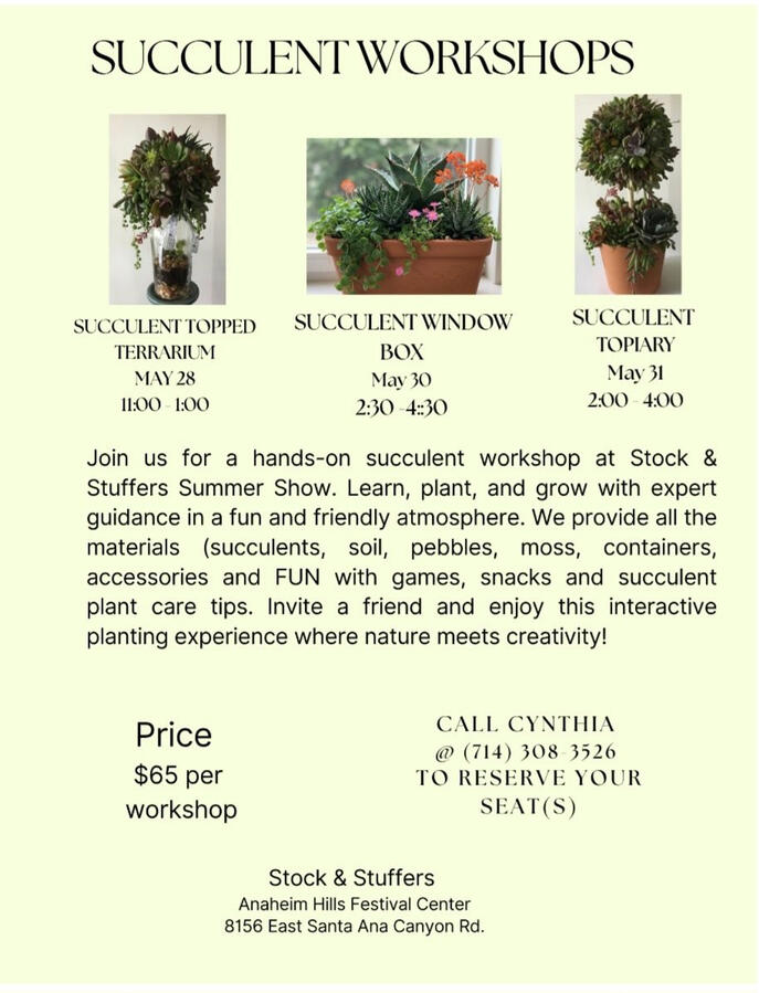 Succulent Workshops