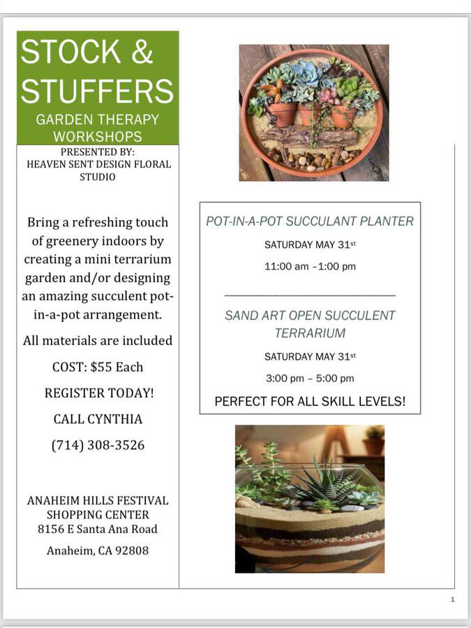 Succulent Workshops