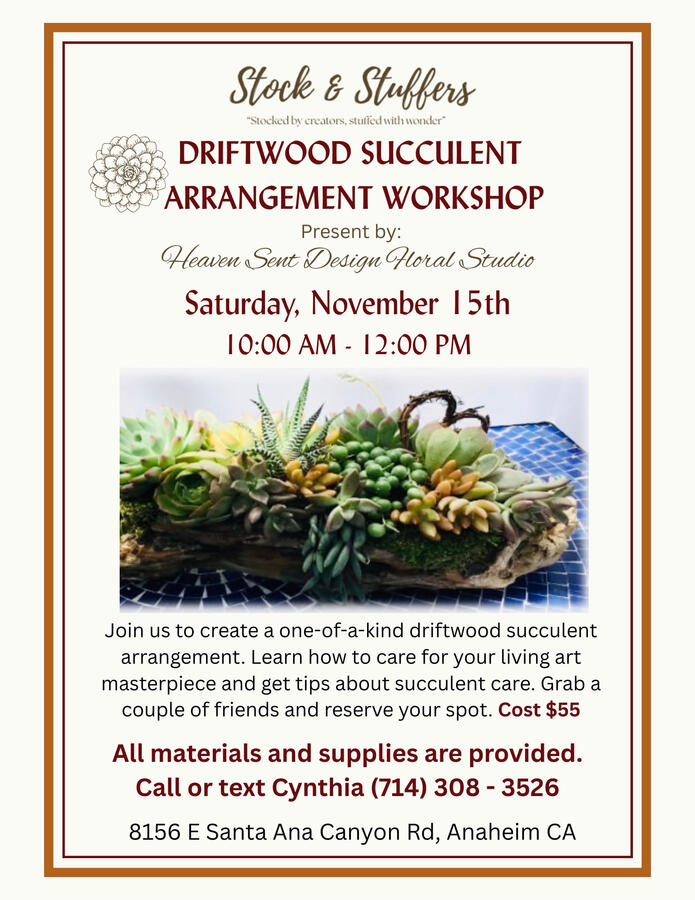 Driftwood Succulent Arrangement Workshop